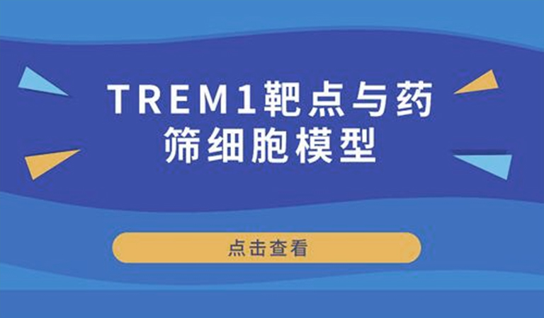 先驅(qū)還是先烈-TREM1靶點與藥篩細(xì)胞模型 先驅(qū)還是先烈-TREM1靶點與藥篩細(xì)胞模型